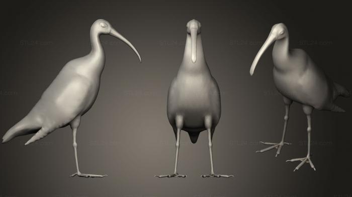 Animal figurines (Australian Ibis, STKJ_0715) 3D models for cnc
